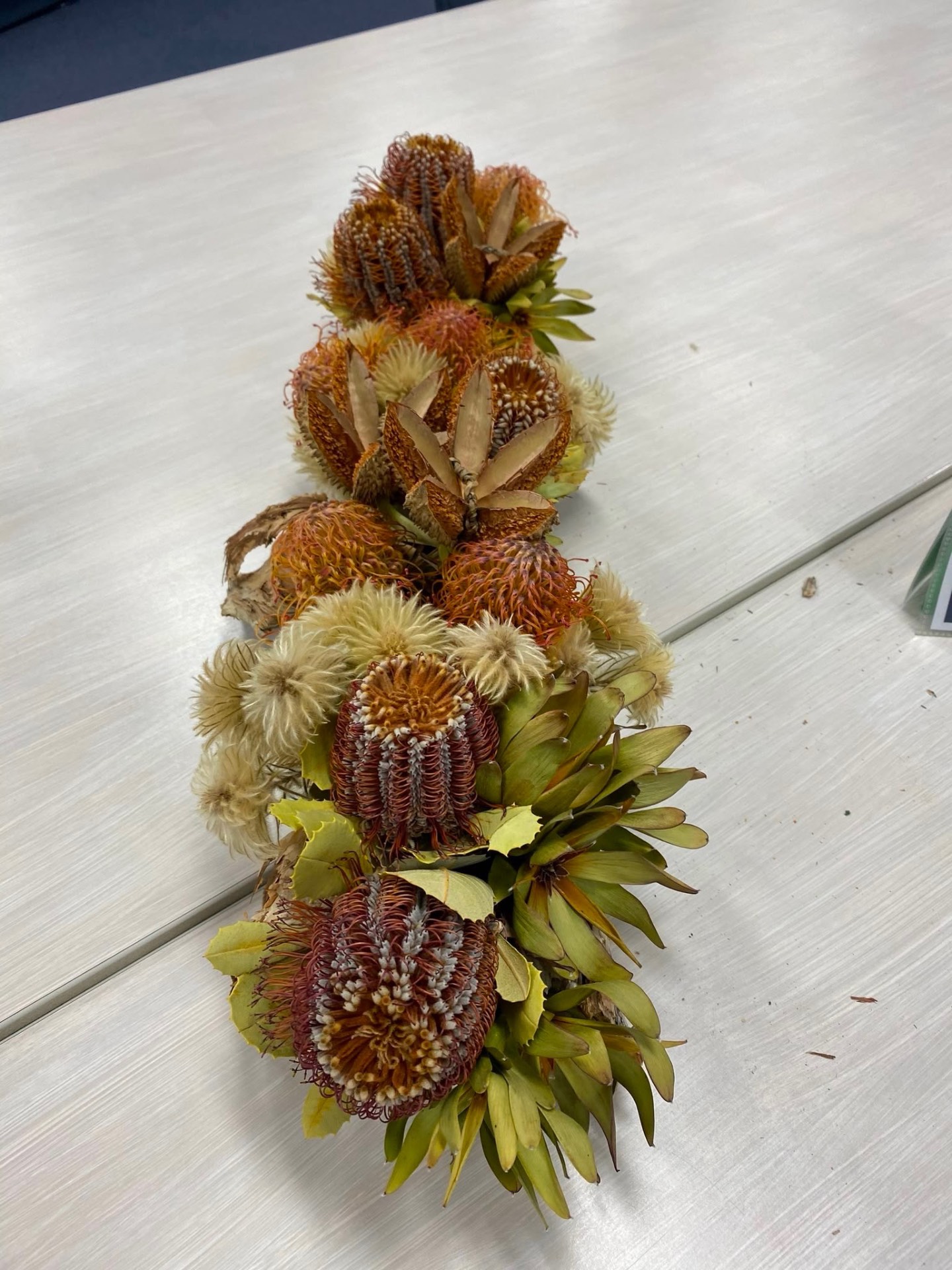 Banksia Bundle
